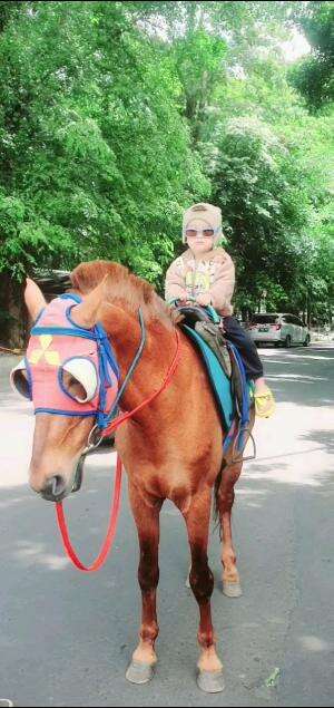 berkuda dulu gaissss 
 #berkuda  #naikkuda  #Anak bayikkk  #anakganteng