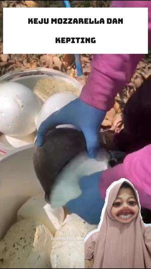 kepiting Mozarella  #viral #RCTIPlus #kepiting 