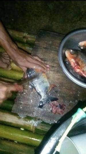 Mau bakar ikan bawal