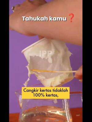 tahukah kamu? cangkir kertas tidaklah 100% kertas 
#info #tahukahkamu 