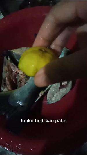 Tambahkan setengah sendok makan gula itu lanjutannya yang kelewat.  #gakmasakgakmakan  #resepikanpatin  #Masakansederhana  #masakannusantara