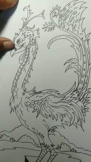 Yuk belajar Menggambar Keindahan Burung guys 