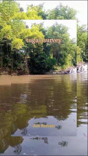 #tugas survey