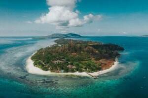 Hiu Paus Sulawesi Utara  
 #RCTIPlus 
#wisata 
#sinetronviral 