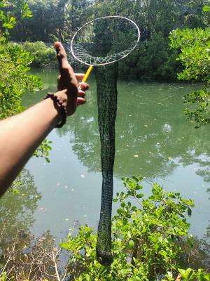 mancing?