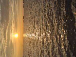 TERNYATA MACING MENYENANGKAN KAWAN #mancingmaniamantap 