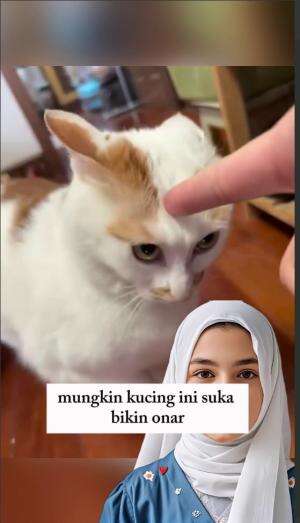 Kucing kesurupan diruqyah #MasakBarengRCTIPlus #kids #squishy #KulinerIndonesia #escream #MasakanNusantara #mainananak