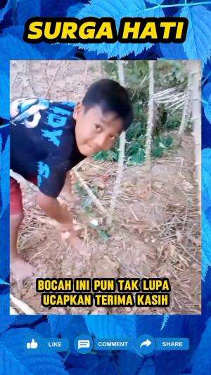 Mengira akan dimarahi karena ambil singkong tanpa izin, pemilik kebun justru minta bocah ini ambil singkong lebih banyak karena harganya yan