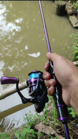 mancing di rawa kecil 
 #mancing
#ikan
#mancingmaniamantap 