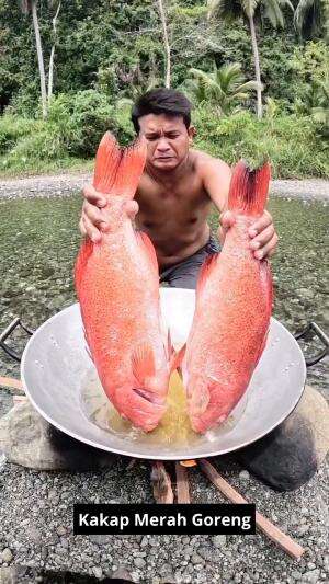 #kakapmerah #kakapputih #kakap #ikankakap 