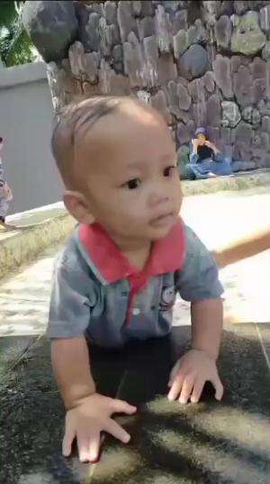 ikut berenang