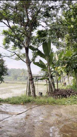 Suasana hujan deras di pedesaan❤