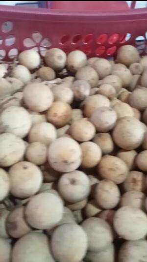 BUAH BUAHAN 
 #jualanhariini
 #mogalarismanis
