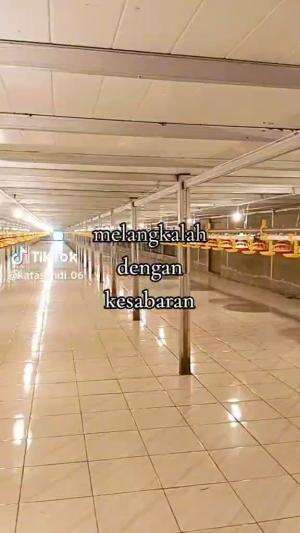 sabar berdoa dan terus berusaha 
