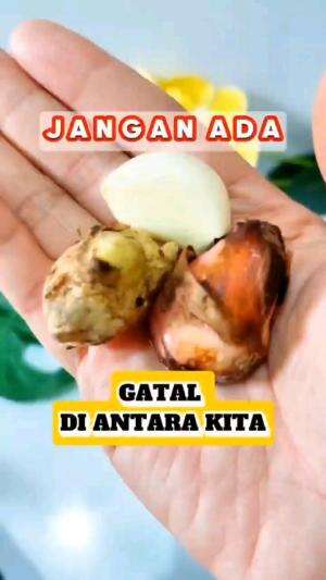 JANGAN ADA GATAL DI ANTARA KITA

#tipsandtrik #tips #trik #tutorial #kreatif #hiburan #inspirasi #inspiratif 
