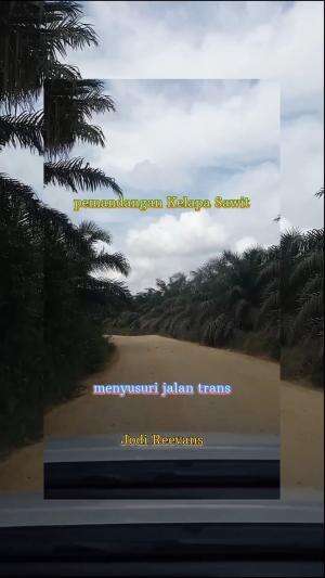 #menyusuri jalan trans
#pemandangan Kelapa Sawit