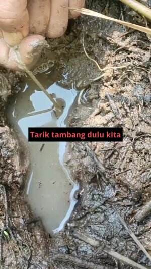 tarik tambang dulu sama ikan 
 #RCTIPlus  #HOTrctiplus  #mancing  