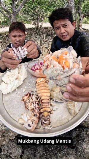 Mukbang Udang Mantis Super lezat #Mukbang #yang suka udang merapat!! #superbb #lezat #kuliner #RCTIPlus 