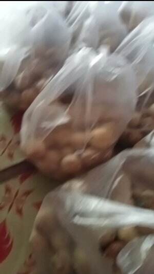 LANGSAT PONTI 
 #jualanlagi
 #larismanis
