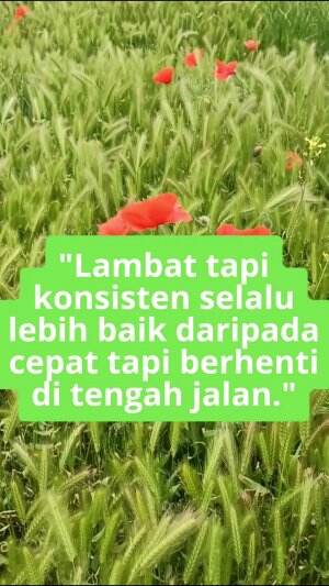 Tidak apa apa LAMBAT akan tetapi konsisten, dari pada cepat tidak terarah #quotes  #motivasi #Semangat  #gigih #sukses #jedamergawe #fyp  #R
