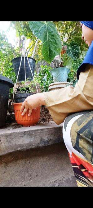 Bagian I
Kegiatan harian..

#pewangipakaian #kegiatanharian #rutinitas #RCTIPlus #HOTrctiplus 