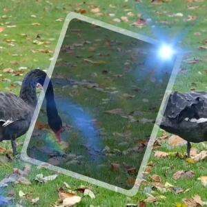 BERSYUKURLAH APA YANG KITA MILIKI!!!!