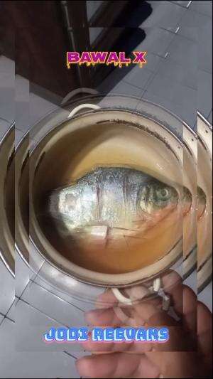 #akhirnya dapat juga ... ciap di goyenk lek ...