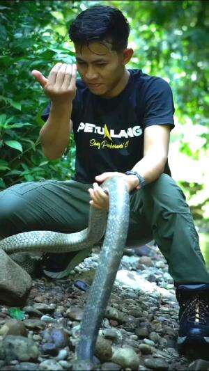 Cek dulu sini ..
#short #shorts #shortplus 