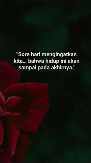 Jangan hanya melihat langit senja, lihat juga ke dalam hatimu.
#QuotesSore #SenjaBertasbih #IslamItuIndah