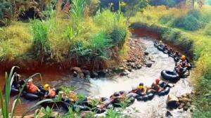 River Tubbing alias arungi sungai