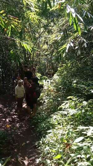 Tracking Air Terjun Coban Srikandi Desa Benjor Kab. Malang Jatim Part19 #tranding  #malangjatim  #airterjun 