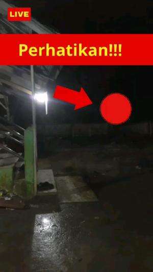 Perhatikan!!!

 #horrorseries #horror #short  #shortplus 