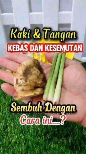 KAKI DAN TANGAN KEBAS KESEMUTAN
SEMBUH DENGAN CARA INI

#tipsandtrik #tips #trik #tutorial #kreatif #hiburan #inspirasi #inspiratif 