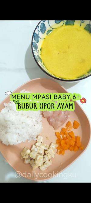 bubur mpasi opor ayam