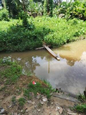 Kondisi Sungai di Kalimantan sehabis hujan
#RCTIPlus 
#HOTrctiplus 