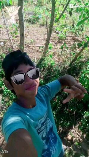 antoni17