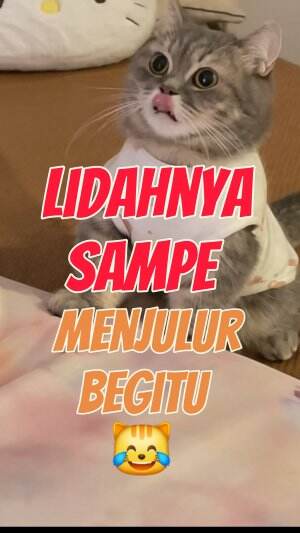 info ganti babu😾  #shortplus #RCTIPlus 