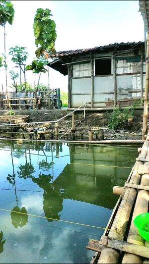 mancing ikan  #mancingmania #mancingikan  #fyp 