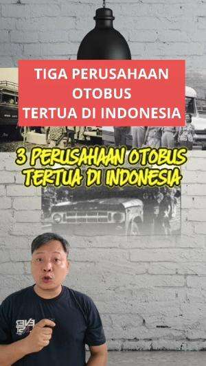 tiga perusahaan otobus tertua di Indonesia #edukasi #otobus 