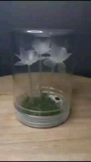 HIASAN MEJA UNIK

#tipsandtrik #tips #trik #tutorial #kreatif #hiburan #inspirasi #inspiratif 