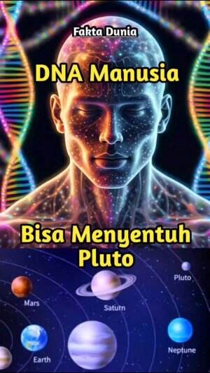 DNA Manusia panjangnya bisa mencapai Pluto
 #fakta  #faktadunia  #faktaunik  #DNA #kromosom #berita #Berita Terkini 
