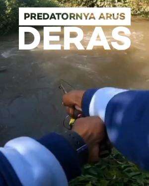 predatornya Arus deras memang mantap  #rcti  #RCTIPlus  #RCTIPlus  #casting  #mancing 