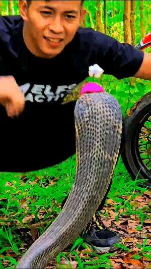 dede gemes
#Viral #virall #Kisah Viral 