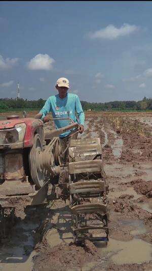Bajak sawah