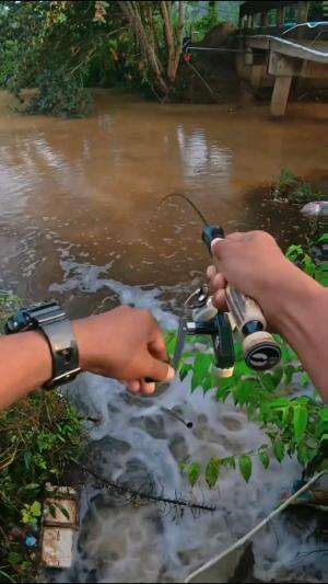 mancing di aliran sungai  #mancing #fyp  #fypシ #Viral #shorts 