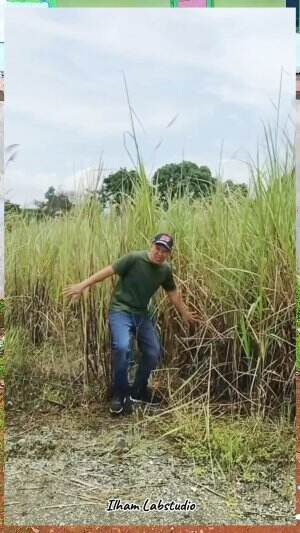menemukan suara burung ajaib di balik semak semak #hiburan #komedilucu #hiburanrakyat #ceritalucu #komedi #Komedi Mulu Sih Bang 
