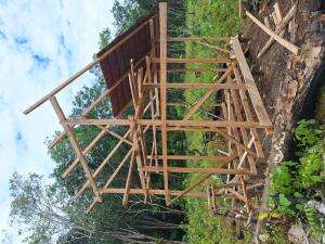 Membuat Pondobg Kebun Sawit di Kalimantan #sawit #Berkebun 