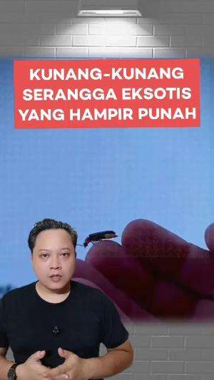 Kunang-kunang serangga eksotis yang hampir punah #kunang-kunang #fireflies 