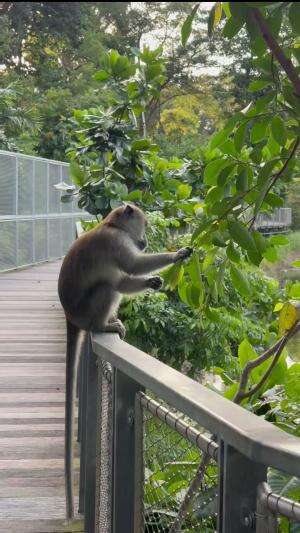 animals status  #animals 
 #kera 