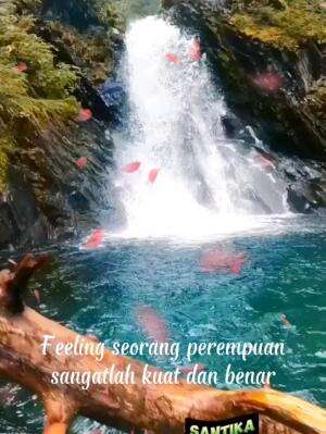  #motivasikehidupan  #istrikecewa #Feeling oren pasti udah kaga enak duluan 